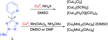 Graphical abstract: 2-tert-Butyl-5-(2-pyridyl)-2H-tetrazole as a chelating ligand in the direct synthesis of novel Cu(ii) and heterobimetallic Cu(ii)/Mn(ii) complexes