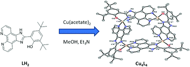 Graphical abstract: Redox-switchable tetra-copper assembly of N,N-, N,O-phenolate-phenanthroimidazolate bridging ligands