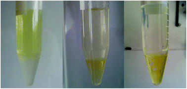 Graphical abstract: Selective extraction of gold and platinum in water using ionic liquids. A simple two-step extraction process