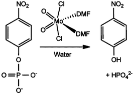 Graphical abstract: Use of MoO2Cl2(DMF)2 as a precursor for molybdate promoted hydrolysis of phosphoester bonds