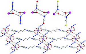 Graphical abstract: Ferromagnetic interactions through double hydrogen bonding bridges in manganese(ii) coordination polymers