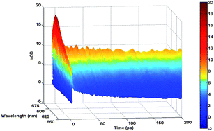 Graphical abstract: Nanostructured hematite: synthesis, characterization, charge carrier dynamics, and photoelectrochemical properties