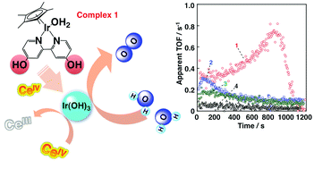 Graphical abstract: Efficient water oxidation by cerium ammonium nitrate with [IrIII(Cp*)(4,4′-bishydroxy-2,2′-bipyridine)(H2O)]2+as a precatalyst