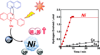 Graphical abstract: Photocatalytic hydrogen evolution with Ni nanoparticles by using 2-phenyl-4-(1-naphthyl)quinolinium ion as a photocatalyst