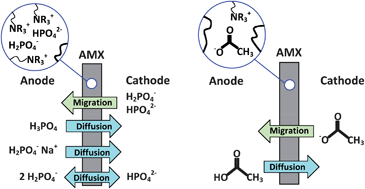 Graphical abstract: Resistance and polarization losses in aqueous buffer–membrane electrolytes for water-splitting photoelectrochemical cells