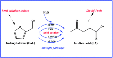 Graphical abstract: Experimental and theoretical studies of the acid-catalyzed conversion of furfuryl alcohol to levulinic acid in aqueous solution