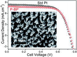 Graphical abstract: Plasma modified flexible bucky paper as an efficient counter electrode in dye sensitized solar cells