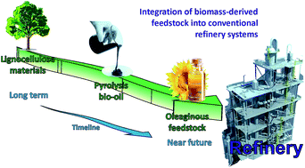 Graphical abstract: Biomass as renewable feedstock in standard refinery units. Feasibility, opportunities and challenges