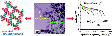 Graphical abstract: DNA-directed growth of FePO4 nanostructures on carbon nanotubes to achieve nearly 100% theoretical capacity for lithium-ion batteries