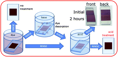 Graphical abstract: Dye adsorption, desorption, and distribution in mesoporous TiO2 films, and its effects on recombination losses in dye sensitized solar cells