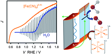 Graphical abstract: Electrochemical and photoelectrochemical investigation of water oxidation with hematite electrodes