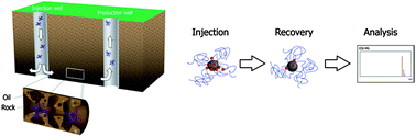 Graphical abstract: Highly stable carbon nanoparticles designed for downhole hydrocarbon detection