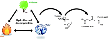 Graphical abstract: Production of levulinic acid from cellulose by hydrothermal decomposition combined with aqueous phase dehydration with a solid acid catalyst