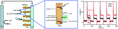 Graphical abstract: Solar driven hydrogen releasing from urea and human urine