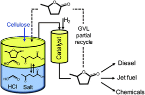 Graphical abstract: Production of levulinic acid and gamma-valerolactone (GVL) from cellulose using GVL as a solvent in biphasic systems
