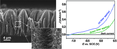 Graphical abstract: Hierarchical TiO2–Si nanowire architecture with photoelectrochemical activity under visible light illumination