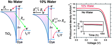 Graphical abstract: Effects of water intrusion on the charge-carrier dynamics, performance, and stability of dye-sensitized solar cells