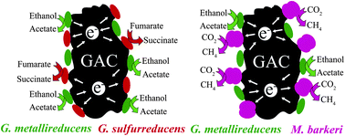 Graphical abstract: Promoting direct interspecies electron transfer with activated carbon