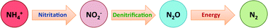 Graphical abstract: Nitrogen removal with energy recovery through N2O decomposition