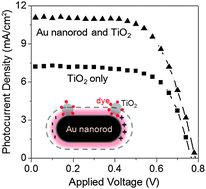 Graphical abstract: Enhancement of low energy sunlight harvesting in dye-sensitized solar cells using plasmonic gold nanorods