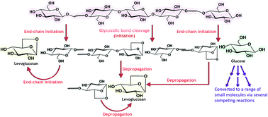 Graphical abstract: A mechanistic model of fast pyrolysis of glucose-based carbohydrates to predict bio-oil composition