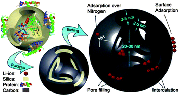 Graphical abstract: Mesoporous nitrogen-rich carbons derived from protein for ultra-high capacity battery anodes and supercapacitors