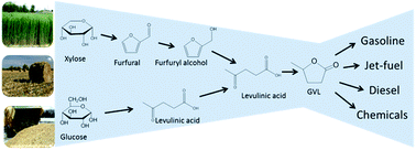 Graphical abstract: Integrated conversion of hemicellulose and cellulose from lignocellulosic biomass