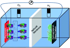 Graphical abstract: “In rust we trust”. Hematite – the prospective inorganic backbone for artificial photosynthesis