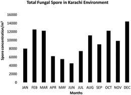 Graphical abstract: Airborne and allergenic fungal spores of the Karachi environment and their correlation with meteorological factors