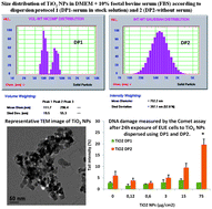 Graphical abstract: Impact of agglomeration and different dispersions of titanium dioxide nanoparticles on the human related in vitro cytotoxicity and genotoxicity