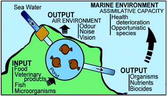 Graphical abstract: Designing an integrated environmental monitoring plan for land-based marine fish farms located at exposed and hard bottom coastal areas