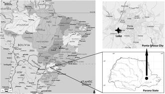 Graphical abstract: Bioaccumulation and related effects of PCBs and organochlorinated pesticides in freshwater fish Hypostomus commersoni