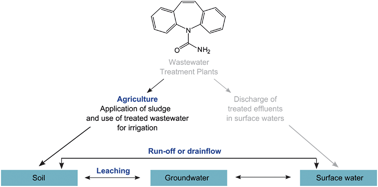 Graphical abstract: Adsorption of the antiepileptic carbamazepine onto agricultural soils