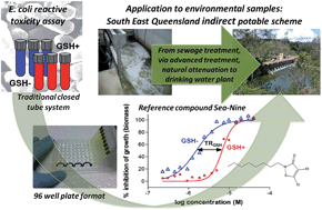 Graphical abstract: In vitro bioassay for reactive toxicity towards proteins implemented for water quality monitoring