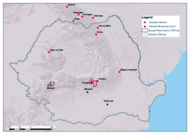 Graphical abstract: Monitoring of ozone in selected forest ecosystems in Southern Carpathian and Romanian Intensive Monitoring Network (level II)