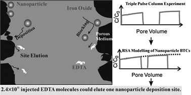 Graphical abstract: Quantifying the influence of EDTA on polymer nanoparticle deposition and retention in an iron-oxide-coated sand column