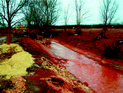 Graphical abstract: Ecotoxicity of fluvial sediments downstream of the Ajka red mud spill, Hungary