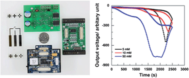 Graphical abstract: The microelectronic wireless nitrate sensor network for environmental water monitoring