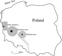 Graphical abstract: Pollution-induced oxidative stress and biochemical parameter alterations in the blood of white stork nestlings Ciconia ciconia from regions with different degrees of contamination in Poland