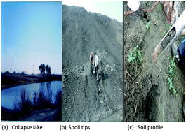 Graphical abstract: Occurrence and risk assessment of polycyclic aromatic hydrocarbons in soil from the Tiefa coal mine district, Liaoning, China