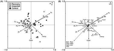 Graphical abstract: Changes in macroinvertebrate community structure provide evidence of neutral mine drainage impacts