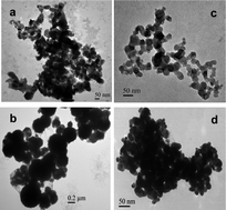 Graphical abstract: Comparative evaluation of impact of Zn and ZnO nanoparticles on brine shrimp (Artemia salina) larvae: effects of particle size and solubility on toxicity