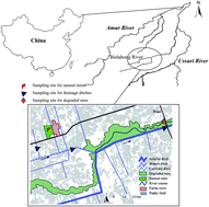 Graphical abstract: Impacts of mire reclamation on dynamics of dissolved nutrients in fluvial systems in the Sanjiang Plain, Northeast China