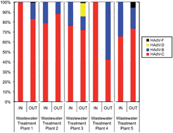 Graphical abstract: Prevalence of respiratory adenovirus species B and C in sewage sludge