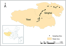 Graphical abstract: Polycyclic aromatic hydrocarbons in soils from the Tibetan Plateau, China: distribution and influence of environmental factors