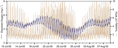 Graphical abstract: Factors contributing to hypoxia in a highly turbid, macrotidal estuary (the Gironde, France)