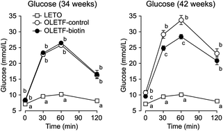 Graphical abstract: Administration of biotin prevents the development of insulin resistance in the skeletal muscles of Otsuka Long-Evans Tokushima fatty rats
