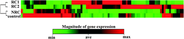 Graphical abstract: Activation of antioxidant response element (ARE)-dependent genes by roasted coffee extracts