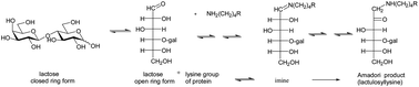 Graphical abstract: The role of the Maillard reaction in the formation of flavour compounds in dairy products – not only a deleterious reaction but also a rich source of flavour compounds