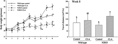 Graphical abstract: Preventive effects of conjugated linoleic acid on obesity by improved physical activity in nescient basic helix-loop-helix 2 knockout mice during growth period